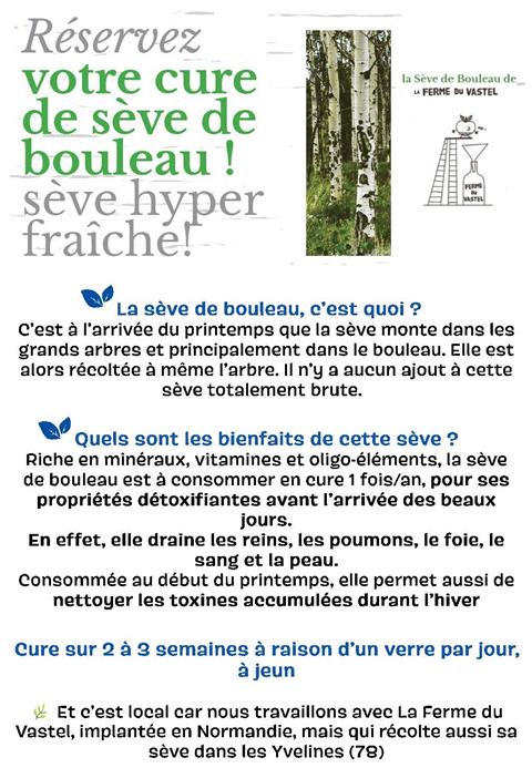 Réservez votre cure de sève de bouleau !