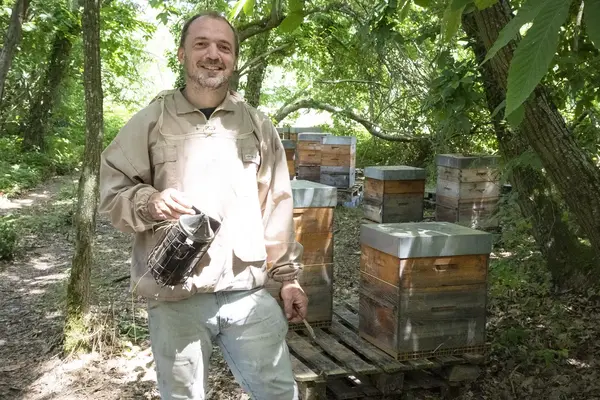 Arrivée des miels locaux des Ruchers de Jérémie
